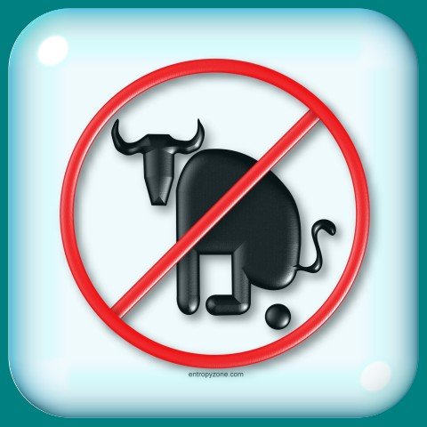 No Bullshit