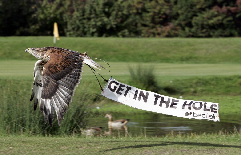BetFair Birdies 2
